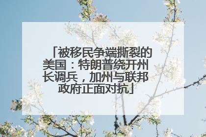 被移民争端撕裂的美国：特朗普绕开州长调兵，加州与联邦政府正面对抗