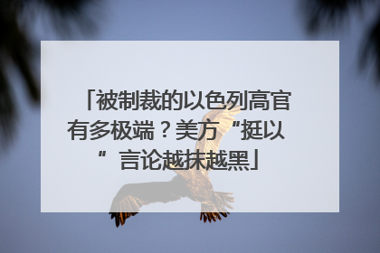 被制裁的以色列高官有多极端？美方“挺以”言论越抹越黑