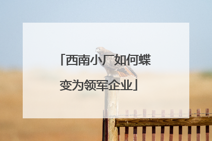 西南小厂如何蝶变为领军企业