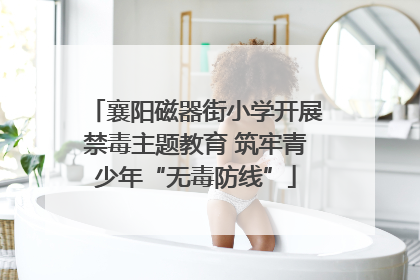 襄阳磁器街小学开展禁毒主题教育 筑牢青少年“无毒防线”