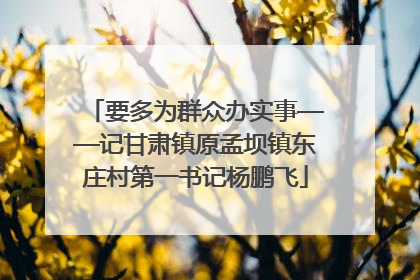 要多为群众办实事——记甘肃镇原孟坝镇东庄村第一书记杨鹏飞