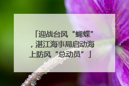 迎战台风“蝴蝶”，湛江海事局启动海上防风“总动员”