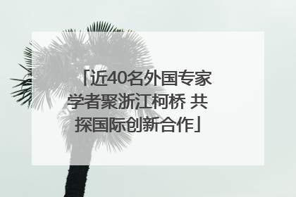 近40名外国专家学者聚浙江柯桥 共探国际创新合作