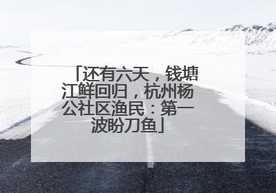 还有六天，钱塘江鲜回归，杭州杨公社区渔民：第一波盼刀鱼