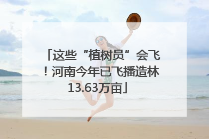 这些“植树员”会飞！河南今年已飞播造林13.63万亩
