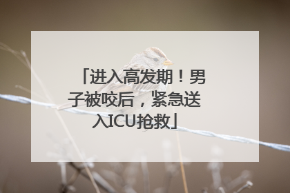 进入高发期！男子被咬后，紧急送入ICU抢救