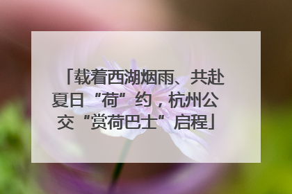 载着西湖烟雨、共赴夏日“荷”约，杭州公交“赏荷巴士”启程