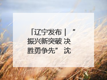 辽宁发布｜“振兴新突破 决胜勇争先” 沈阳这么干！