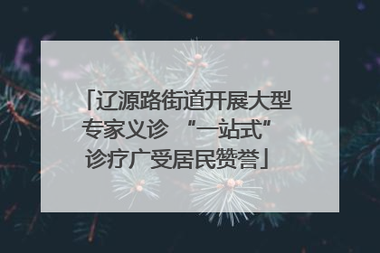 辽源路街道开展大型专家义诊 “一站式”诊疗广受居民赞誉