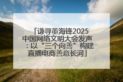 谦寻董海锋2025中国网络文明大会发声：以“三个向善”构建直播电商善意长河