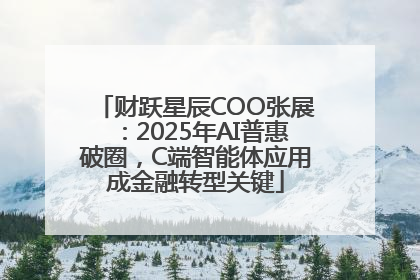 财跃星辰COO张展：2025年AI普惠破圈，C端智能体应用成金融转型关键