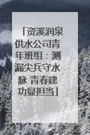 资溪润泉供水公司青年班组：测漏尖兵守水脉 青春建功显担当