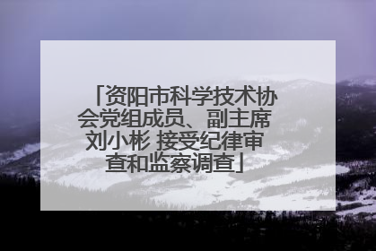 资阳市科学技术协会党组成员、副主席刘小彬 接受纪律审查和监察调查