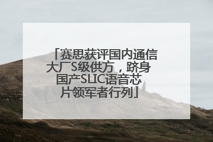 赛思获评国内通信大厂S级供方，跻身国产SLIC语音芯片领军者行列