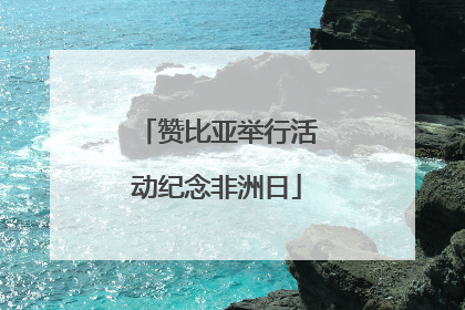 赞比亚举行活动纪念非洲日
