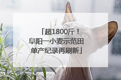 超1800斤！阜阳一小麦示范田单产纪录再刷新