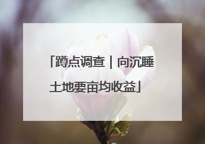 蹲点调查｜向沉睡土地要亩均收益