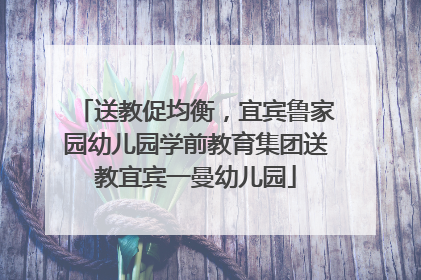 送教促均衡，宜宾鲁家园幼儿园学前教育集团送教宜宾一曼幼儿园