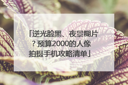 逆光脸黑、夜景糊片？预算2000的人像拍摄手机攻略清单