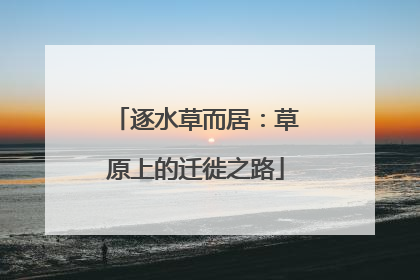 逐水草而居：草原上的迁徙之路