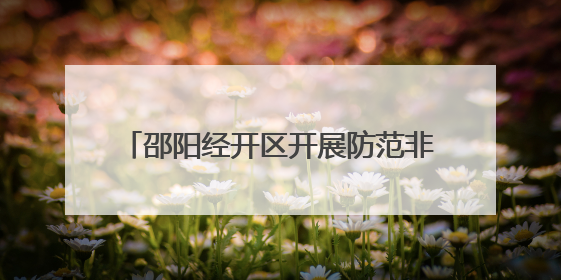 邵阳经开区开展防范非法金融宣传活动 筑牢企业“钱袋子”安全防线
