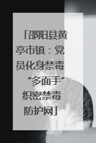 邵阳县黄亭市镇：党员化身禁毒“多面手” 织密禁毒防护网