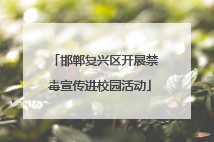邯郸复兴区开展禁毒宣传进校园活动