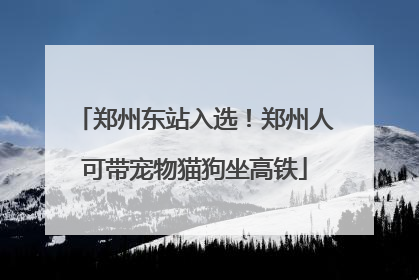 郑州东站入选！郑州人可带宠物猫狗坐高铁