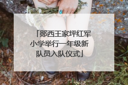 郧西王家坪红军小学举行一年级新队员入队仪式