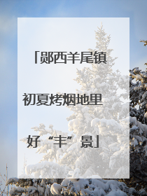 郧西羊尾镇初夏烤烟地里好“丰”景