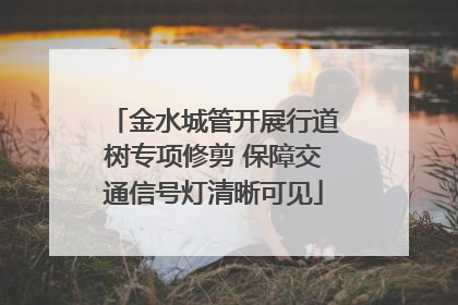 金水城管开展行道树专项修剪 保障交通信号灯清晰可见