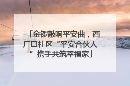 金锣敲响平安曲，西厂口社区“平安合伙人”携手共筑幸福家