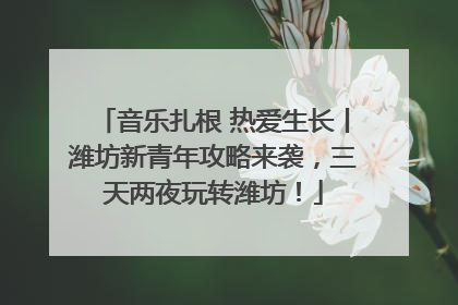 音乐扎根 热爱生长丨潍坊新青年攻略来袭，三天两夜玩转潍坊！