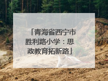 青海省西宁市胜利路小学：思政教育拓新路