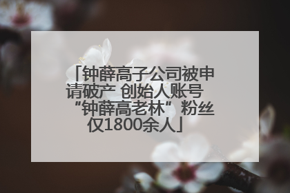 钟薛高子公司被申请破产 创始人账号“钟薛高老林”粉丝仅1800余人