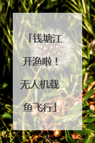 钱塘江开渔啦！无人机载鱼飞行