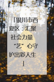 银川市西夏区：汇聚社会力量 “艺”心守护出彩人生