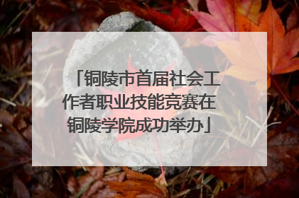 铜陵市首届社会工作者职业技能竞赛在铜陵学院成功举办