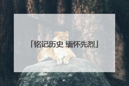 铭记历史 缅怀先烈