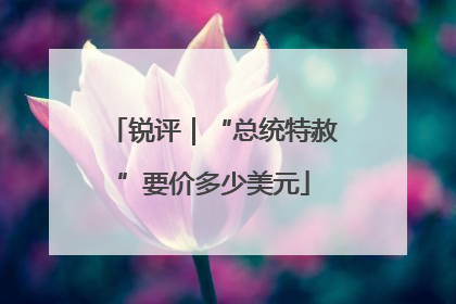 锐评｜“总统特赦”要价多少美元