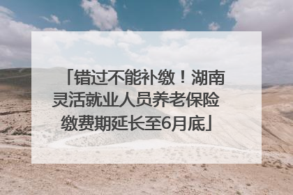 错过不能补缴！湖南灵活就业人员养老保险缴费期延长至6月底