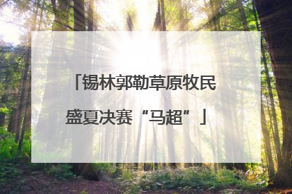 锡林郭勒草原牧民盛夏决赛“马超”