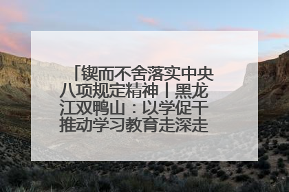 锲而不舍落实中央八项规定精神丨黑龙江双鸭山：以学促干推动学习教育走深走实 从小事入手写好“民生答卷”