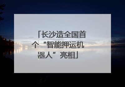长沙造全国首个“智能押运机器人”亮相