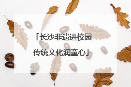 长沙非遗进校园 传统文化润童心