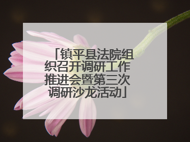 镇平县法院组织召开调研工作推进会暨第三次调研沙龙活动