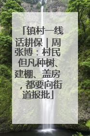 镇村一线话耕保｜周张博：村民但凡种树、建棚、盖房，都要向街道报批