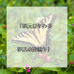 镇沅县举办多彩活动迎端午