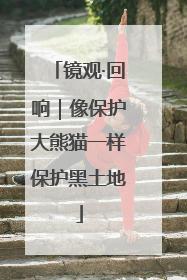 镜观·回响｜像保护大熊猫一样保护黑土地