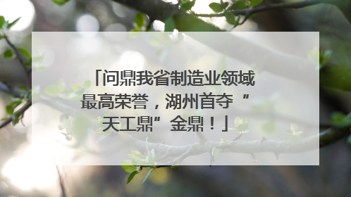 问鼎我省制造业领域最高荣誉，湖州首夺“天工鼎”金鼎！